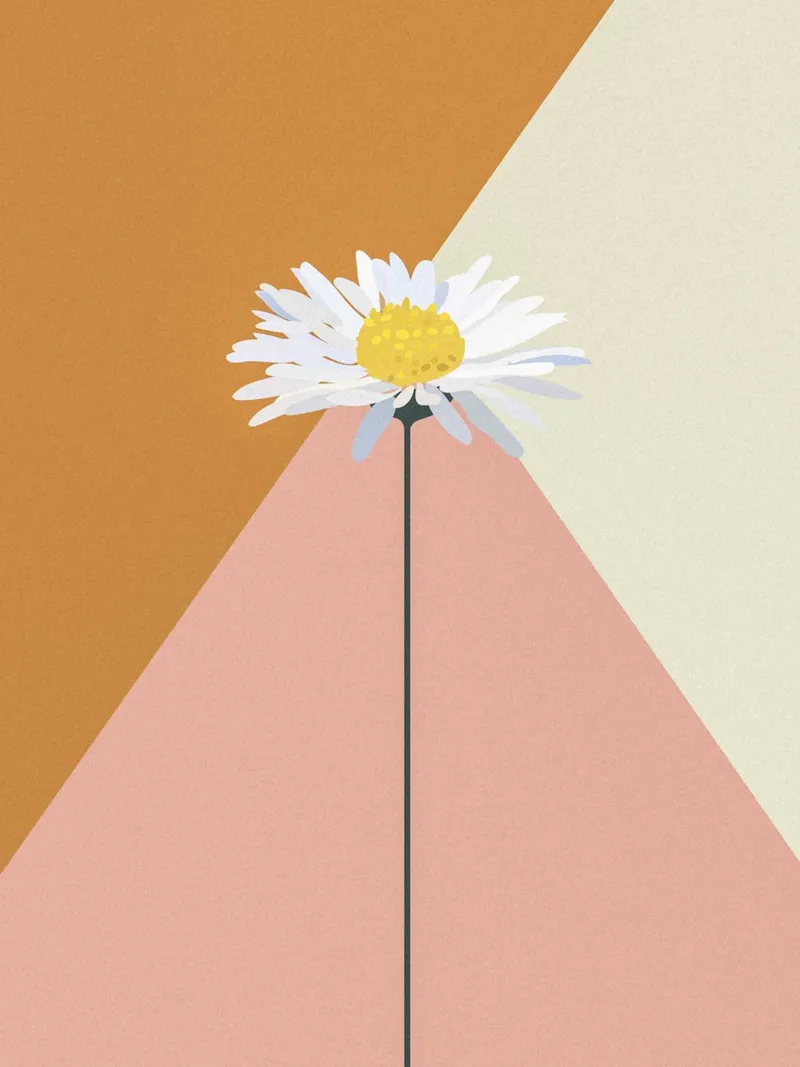 Daisy poster con telaio in legno da GigiRosado