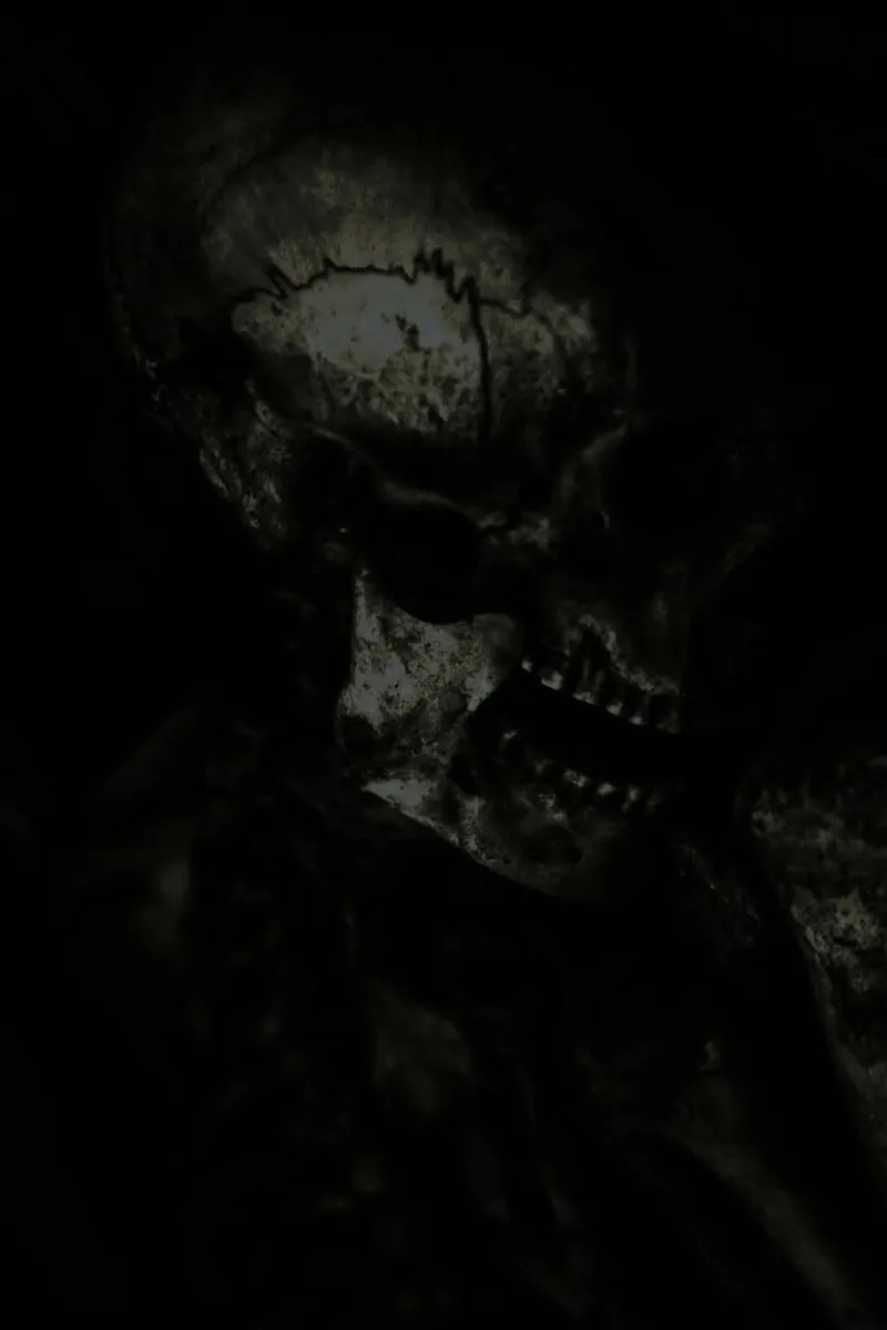 Skull pellicola backlit da Shot By Clint