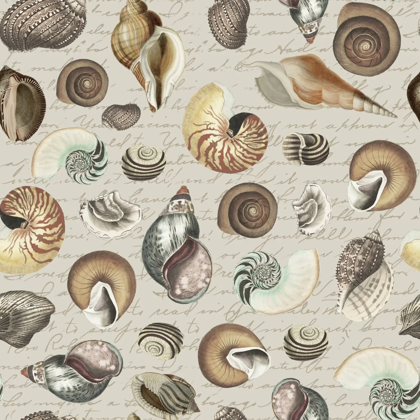 Conchiglie nostalgiche Beige pellicola backlit da Andrea Haase Vintage World