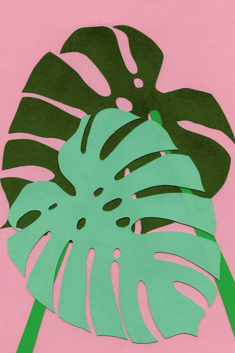 Monstera Deliciosa poster da Rosi Feist