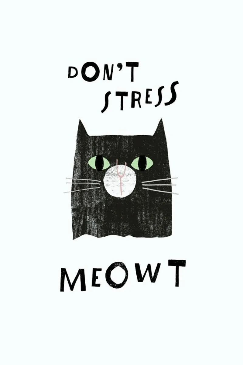 Catisfaction No. 7 carta hahnemühle da typealive