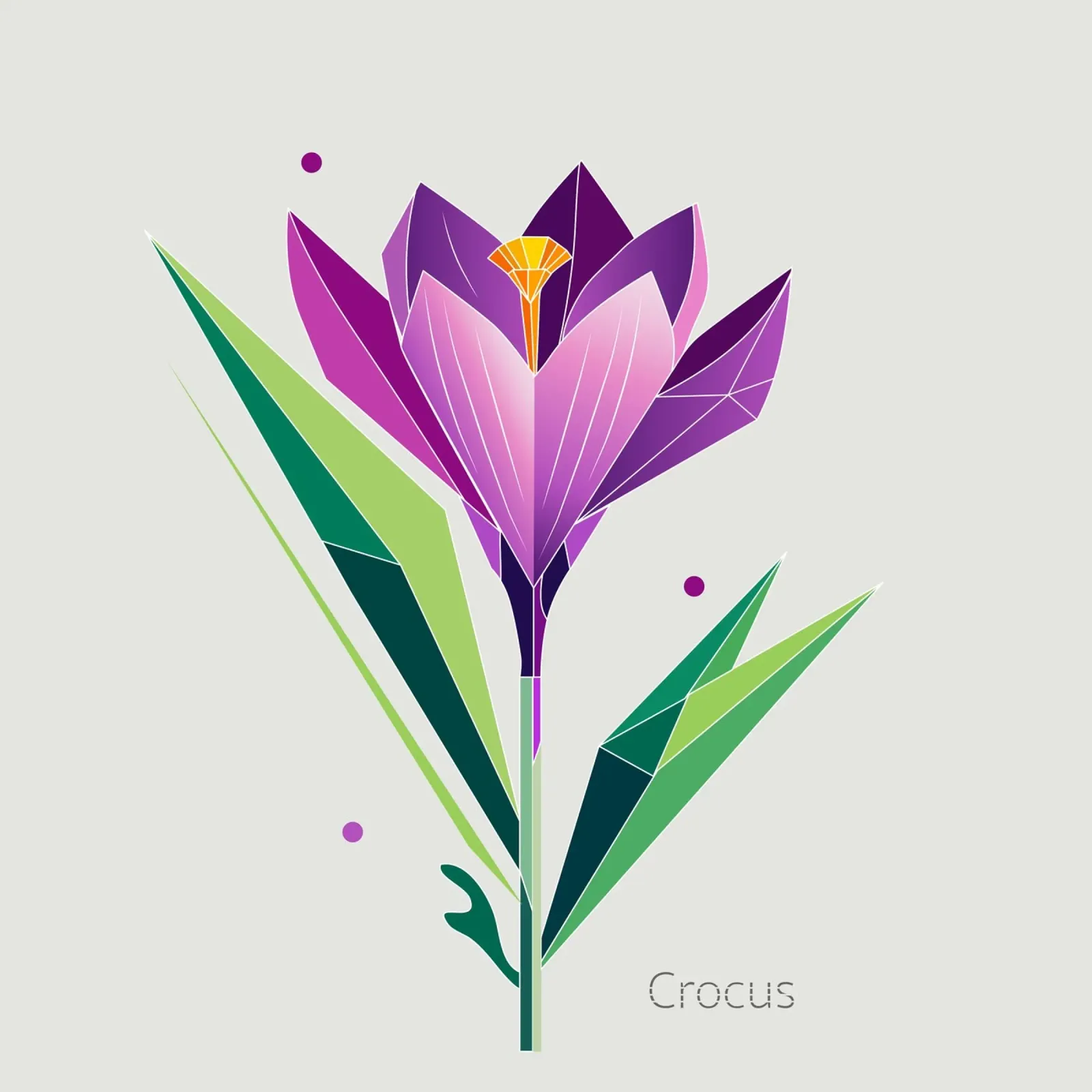 Geometric crocus - Spring in polygons canvas by namosh