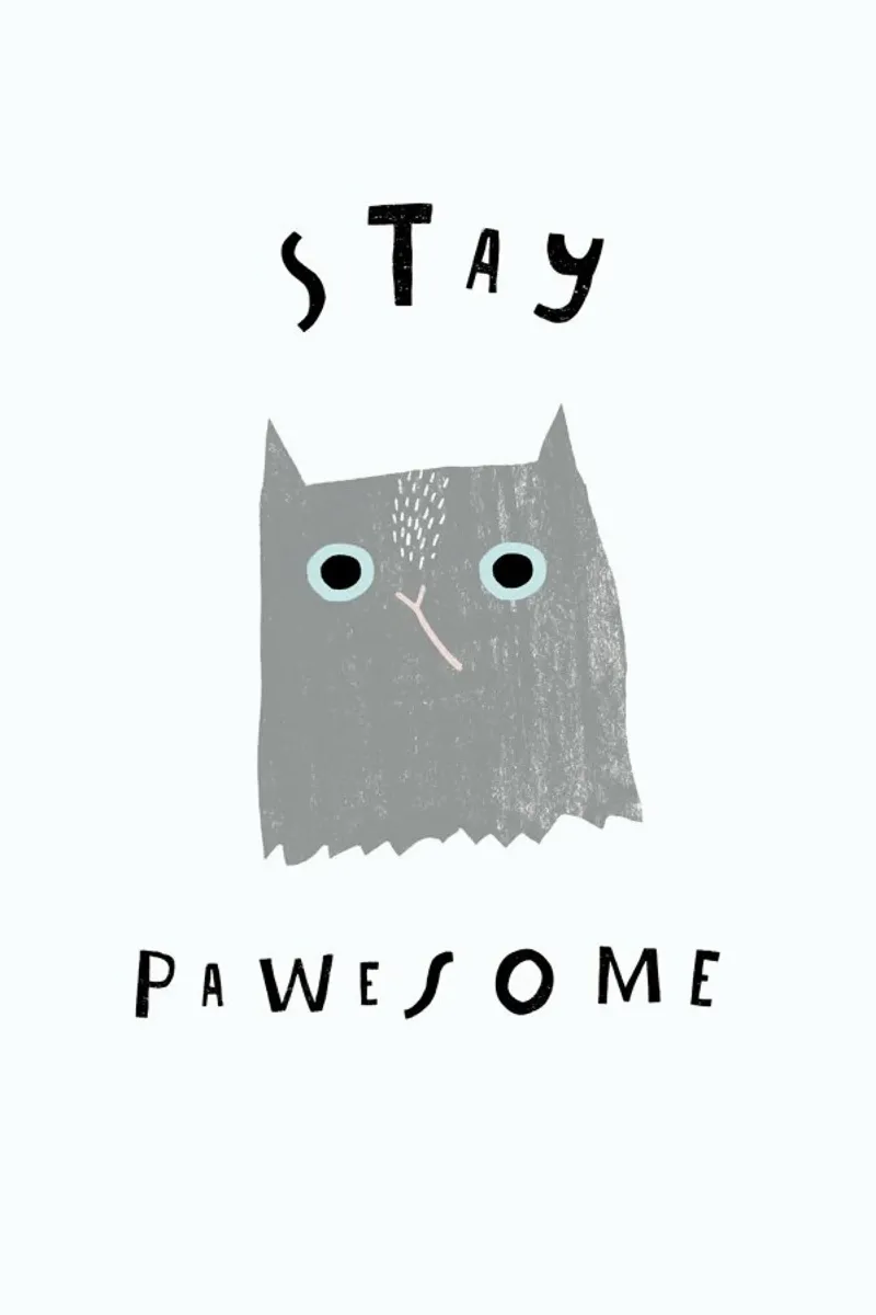Catisfaction No. 11 plexiglass da typealive