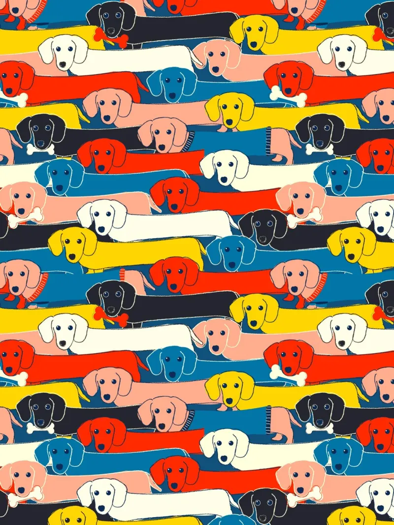Colorful Dachshund Pattern – Cute Sausage Dog Design pellicola backlit da showmemars