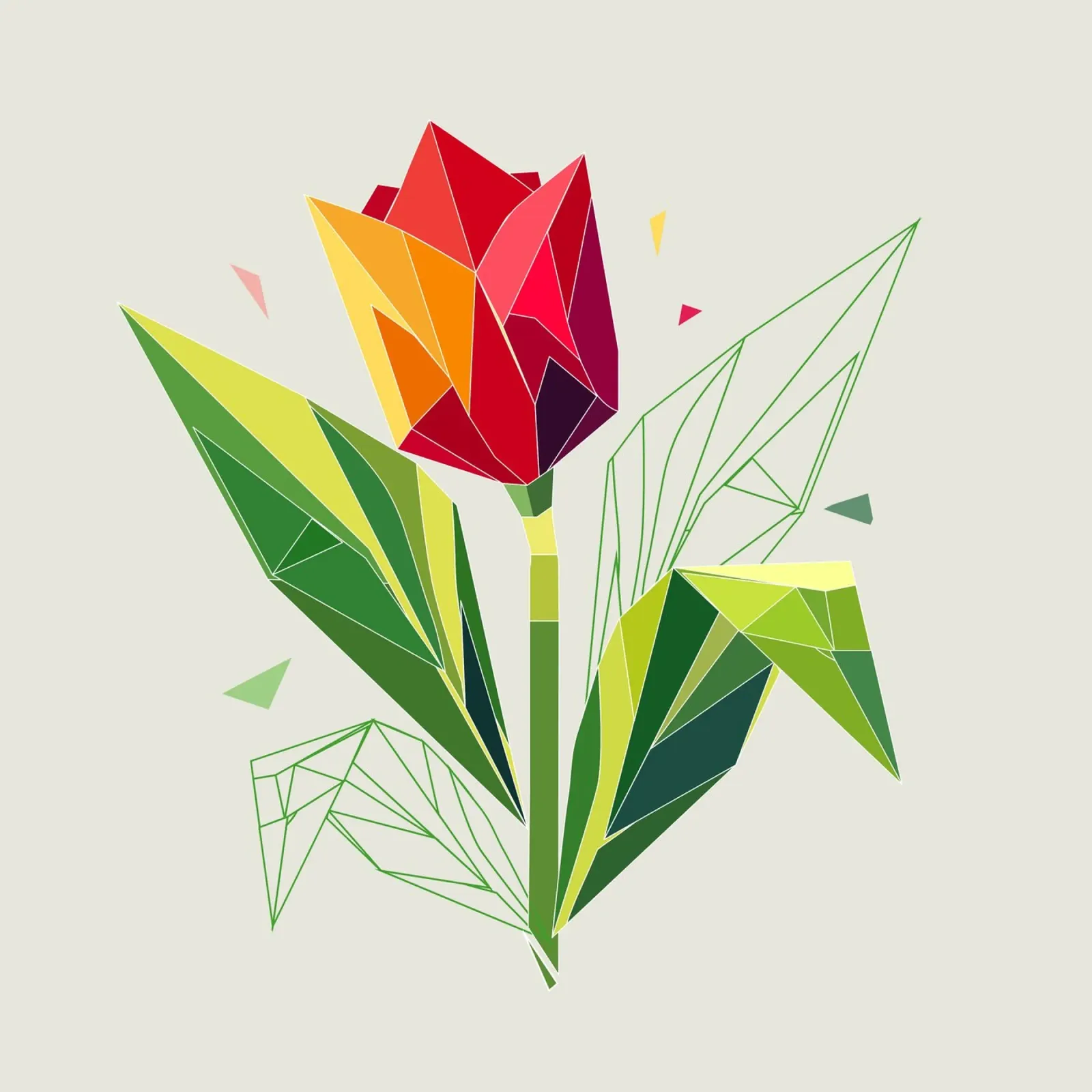 Geometric tulip - elegance in polygons canvas by namosh