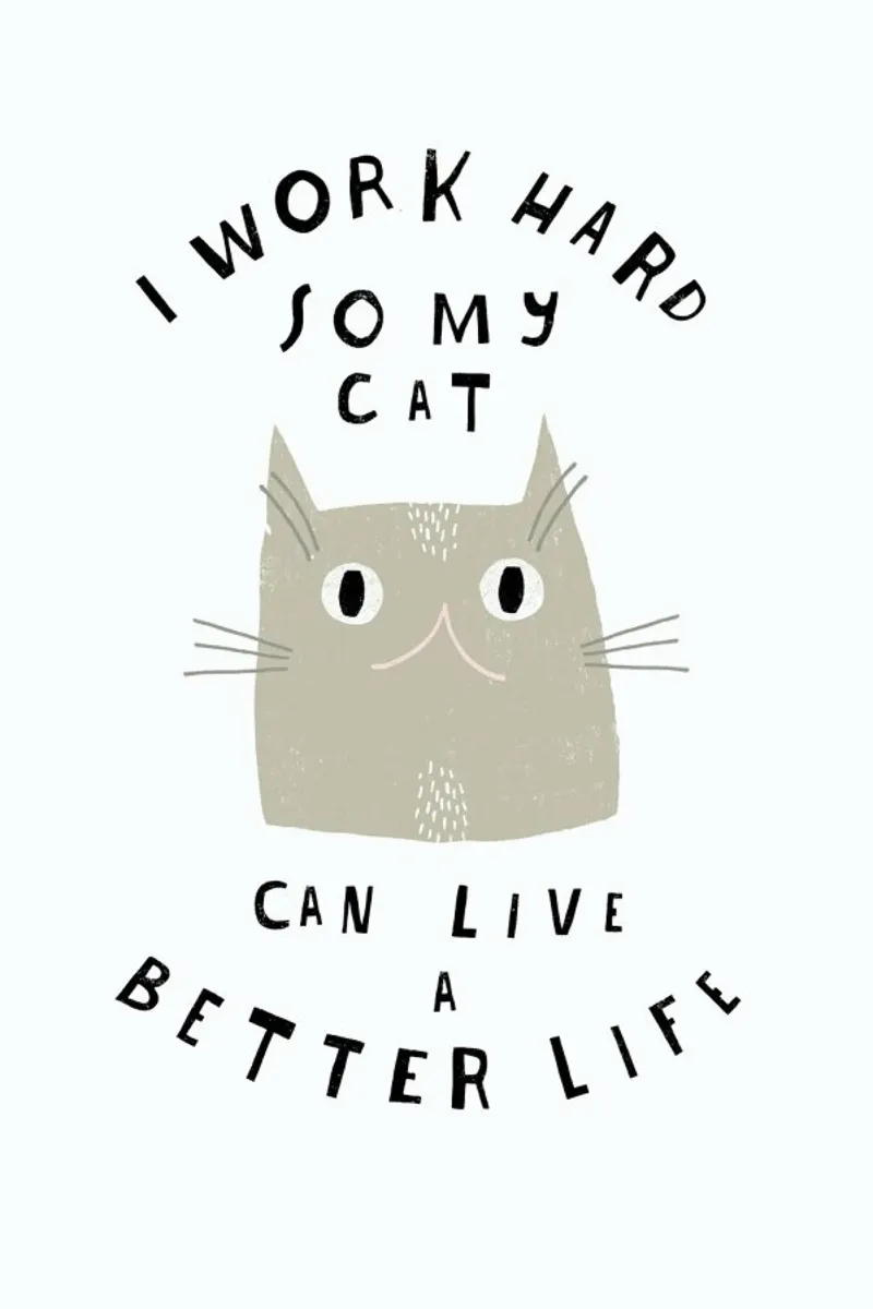 Catisfaction No. 12 alluminio dibond da typealive