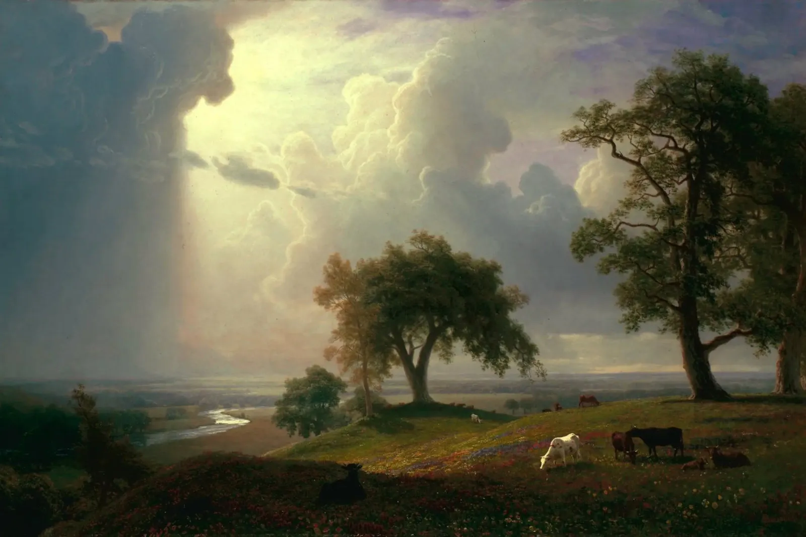 Albert Bierstadt - Primavera in California pellicola backlit da Timeless Artworks