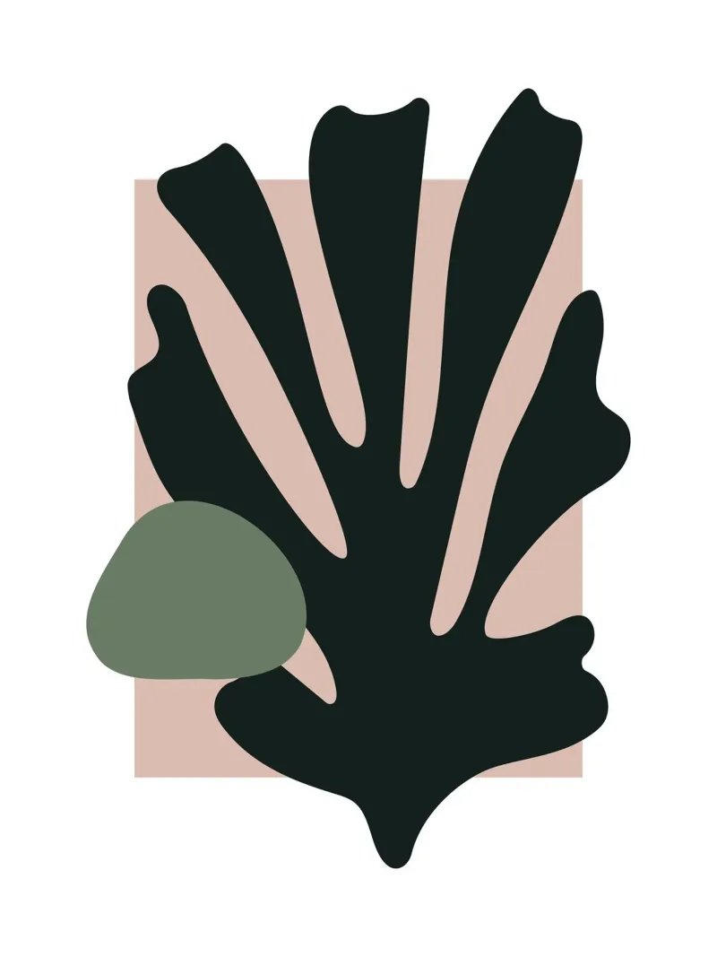Matisse, Organic Shape, Cut Outs Matisse acrylic glass by Peaches Art Prints