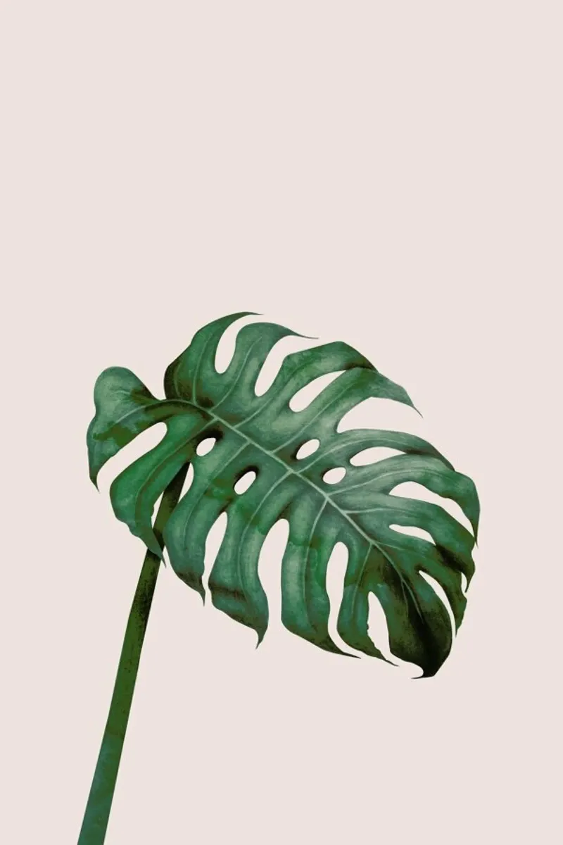 Tropical No. 7 plexiglass da typealive
