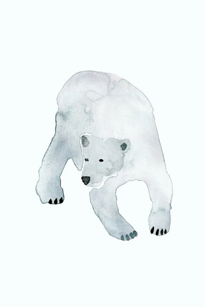 Eisbär Hahnemühle von Farina Kuklinski