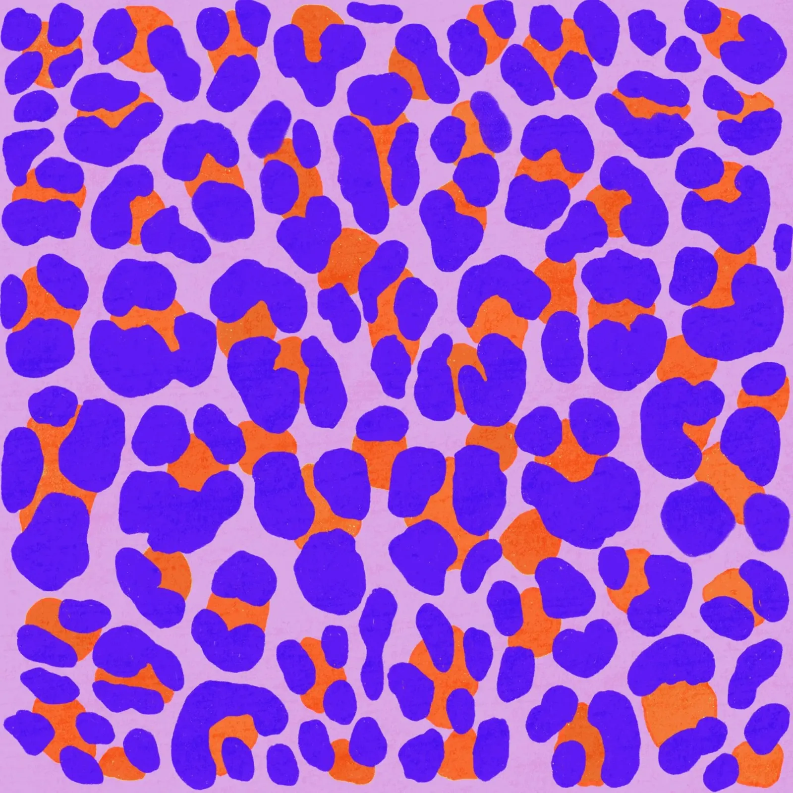 Leopard pattern. Modern with purple and orange. hahnemühle by CalliLetters