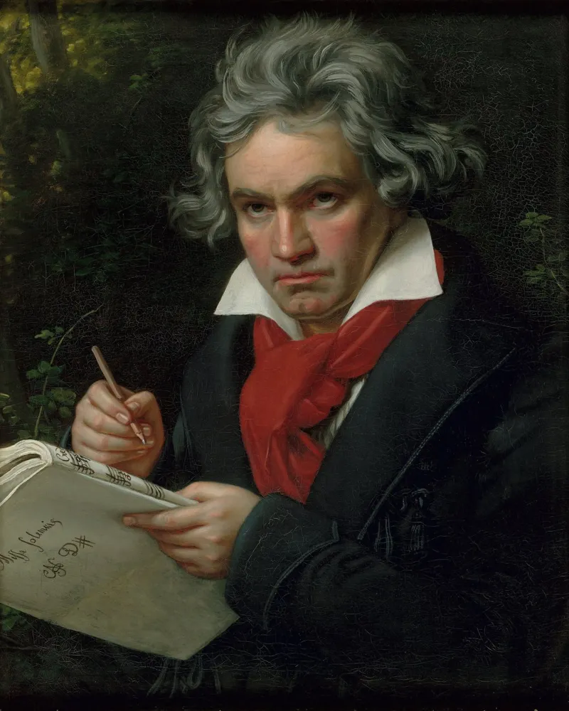 Ludwig van Beethoven pellicola backlit da Timeless Artworks