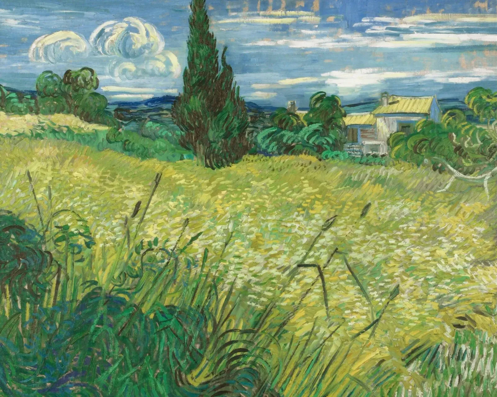 Vincent van Gogh - Green Wheat Field with Cypress canvas by Timeless Artworks