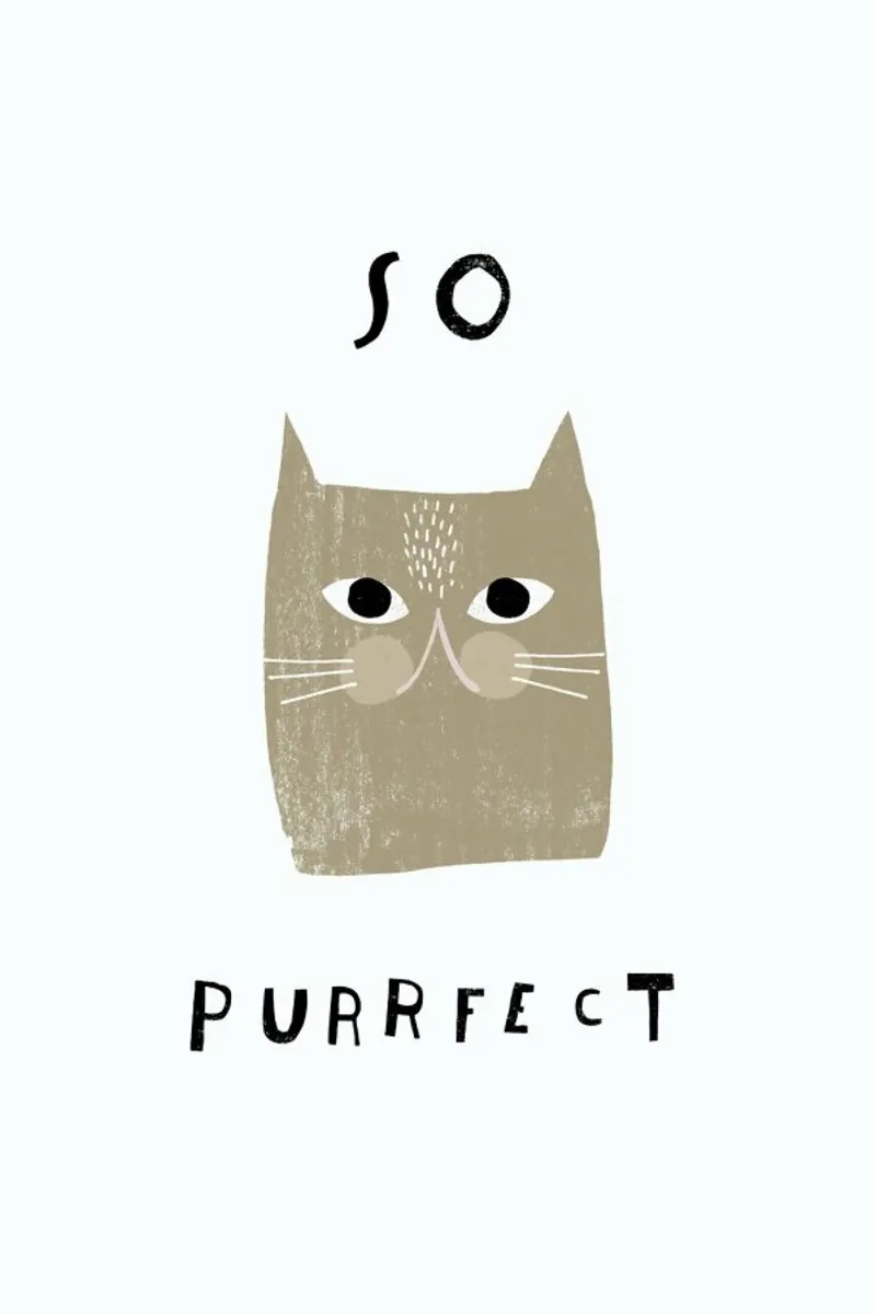 Catisfaction No. 5 plexiglass da typealive