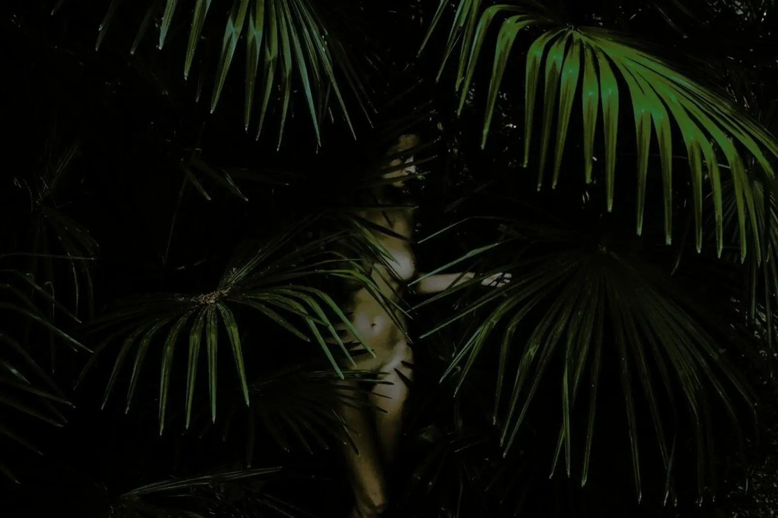 Palm Lover poster avec cadre en aluminium de Matevž Kosterov