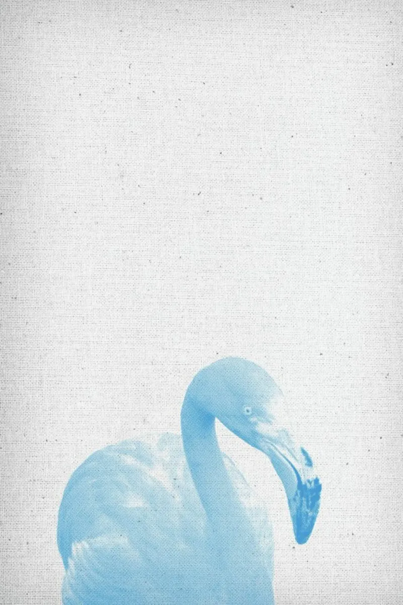 Flamingo 04 pellicola backlit da Froilein Juno