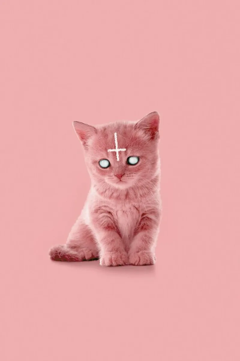 Lucipurr alluminio dibond da Jonas Loose