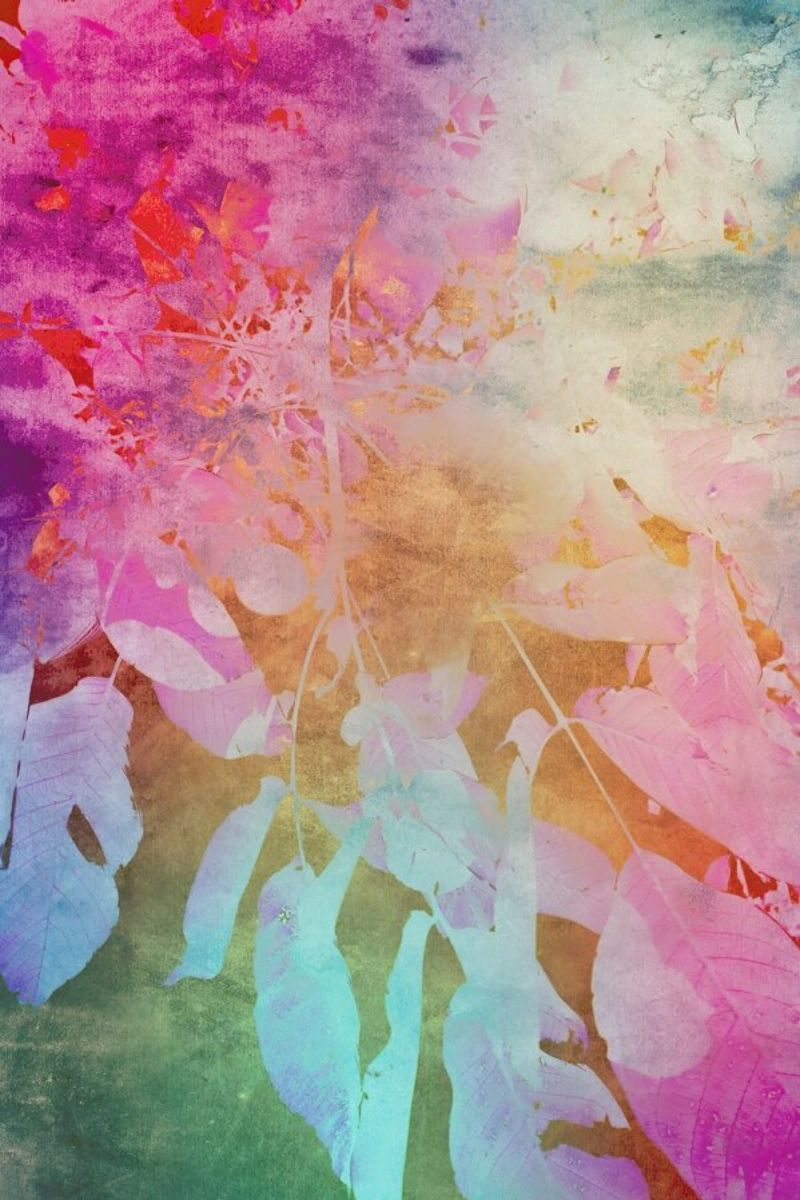 Softly poster de Angelo Cerantola