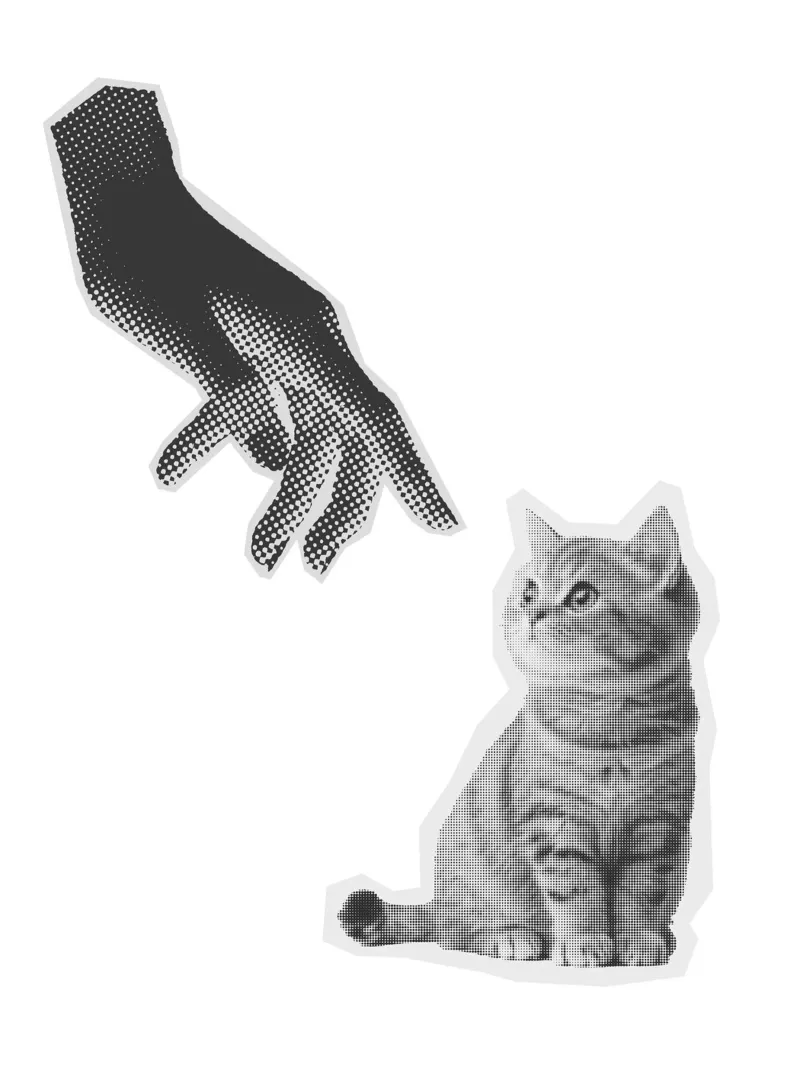Don't Touch The Cat carta hahnemühle da Lotta Cat Design