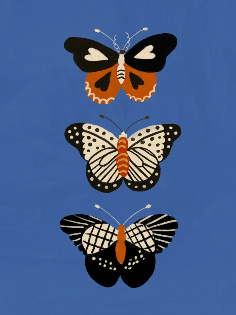 Butterfly blue poster with plastic frame by GigiRosado