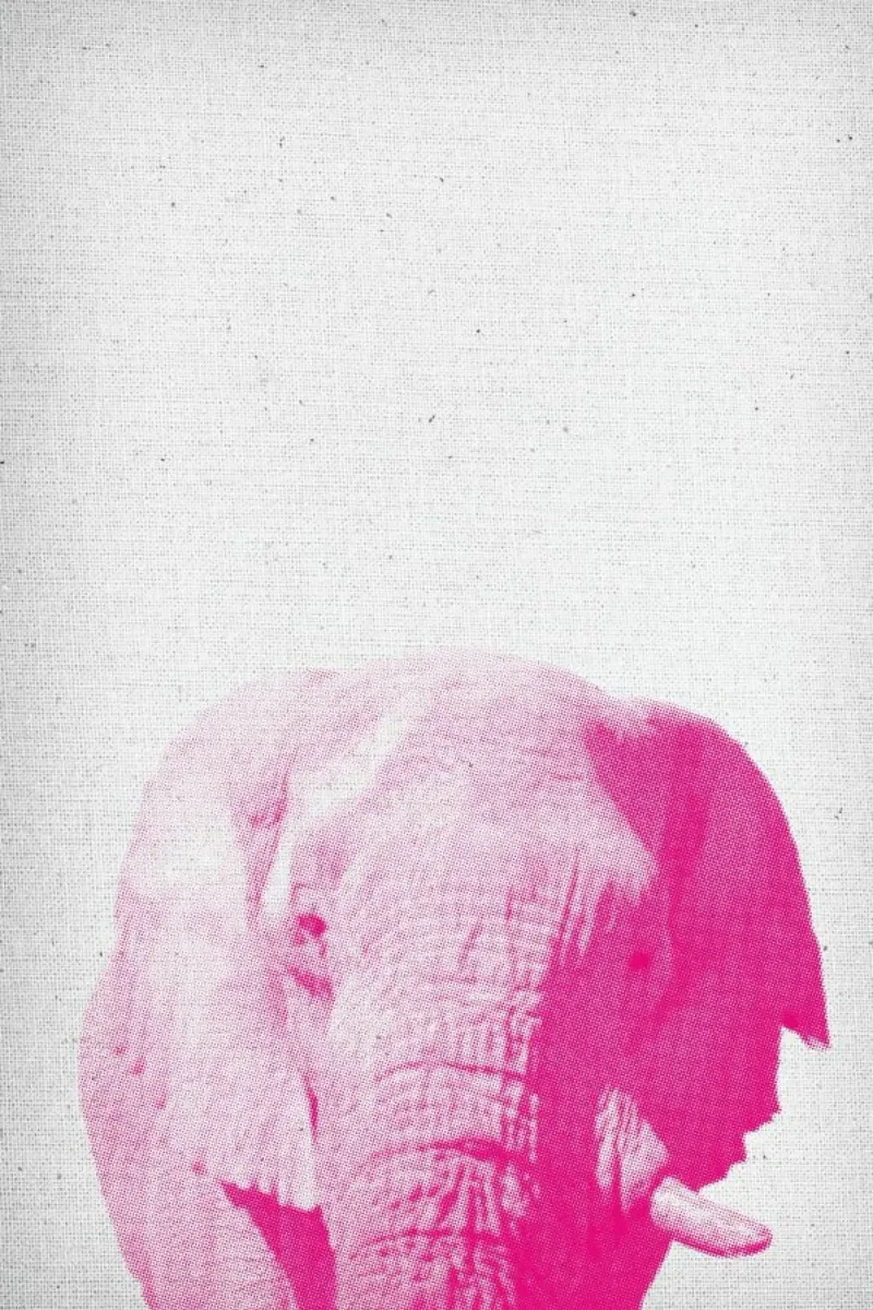 Elephant 02 alluminio dibond da Froilein Juno
