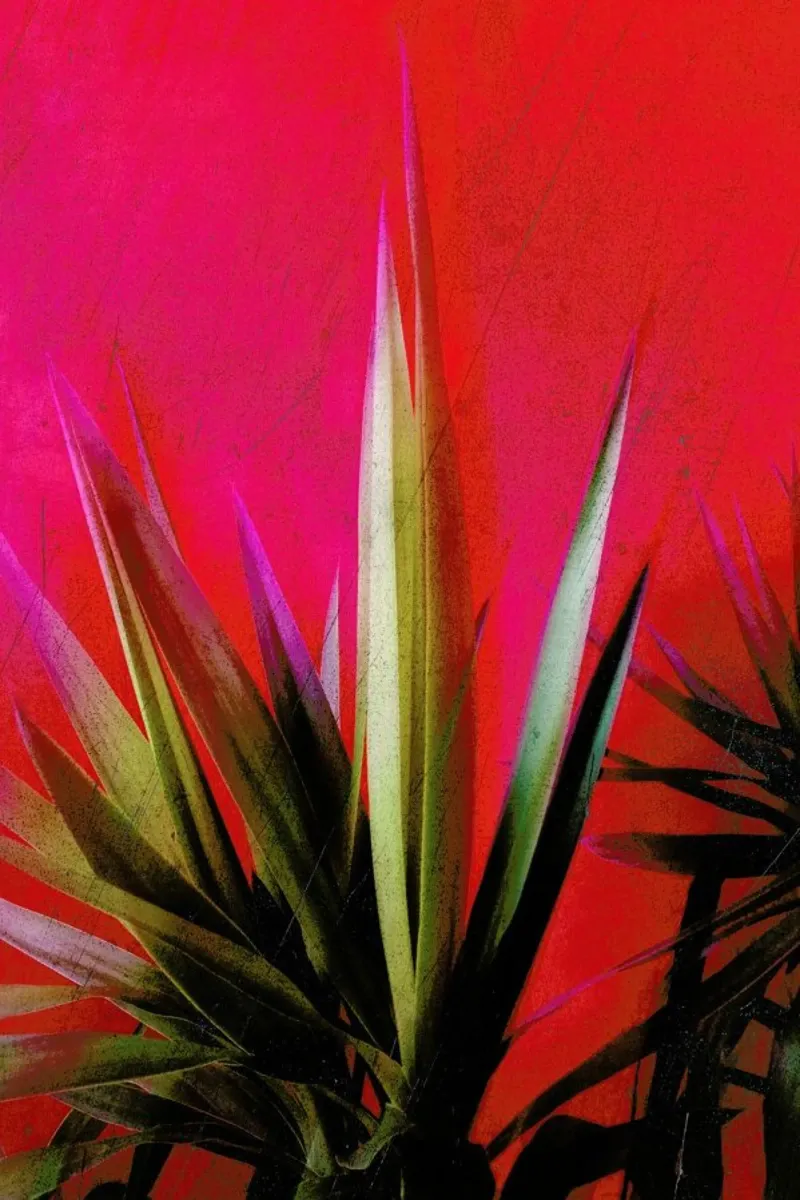 Vivid Pink poster con telaio in legno da Angelo Cerantola
