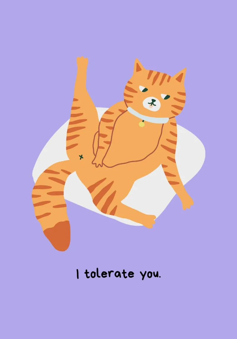 I Tolerate You | Cat plexiglass da Lotta Cat Design