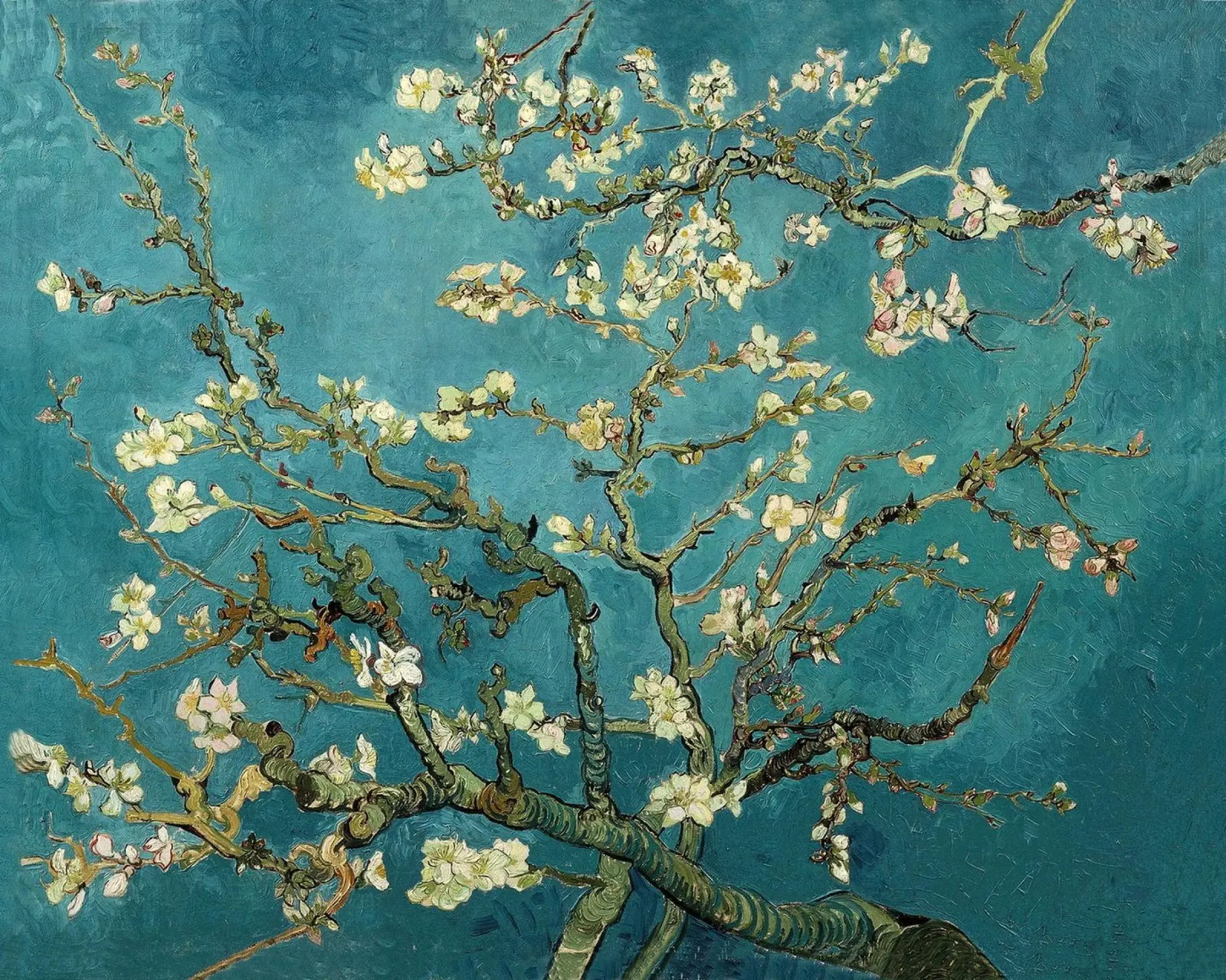 Vincent van Gogh - Mandorlo in fiore pellicola backlit da William Store