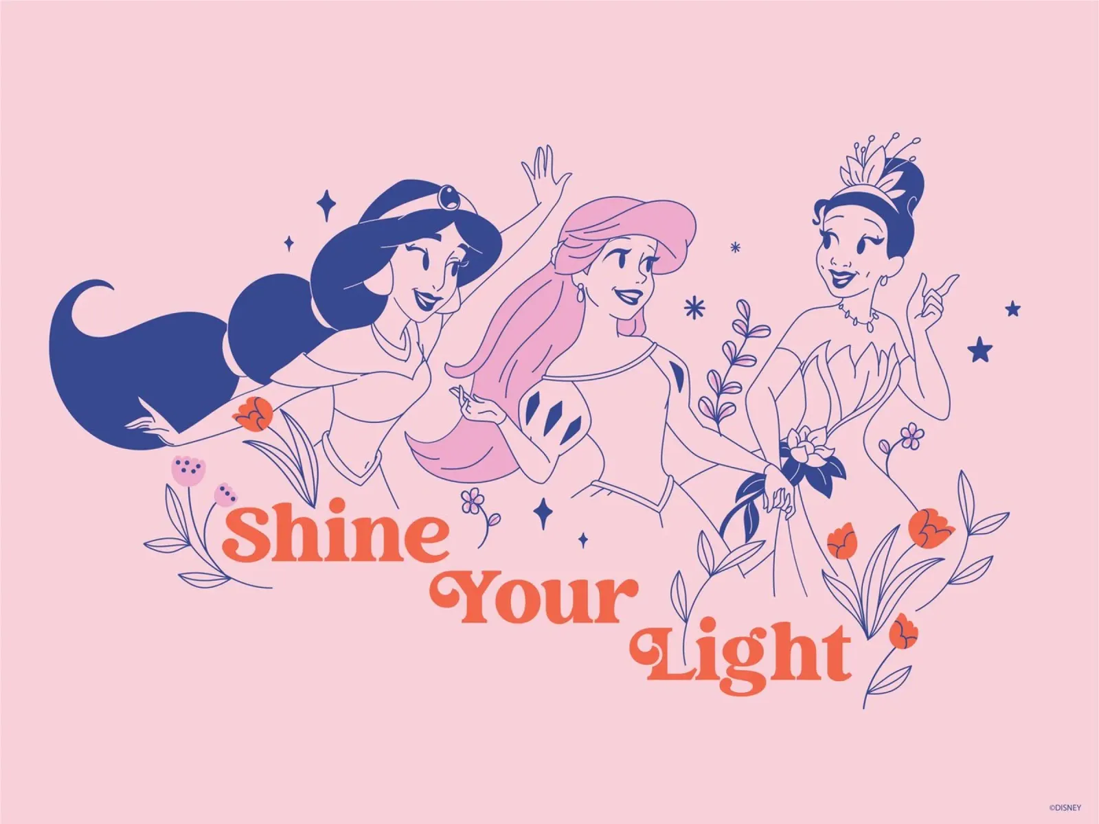 Prinzessinnen-Power alluminio dibond da Disney Princess