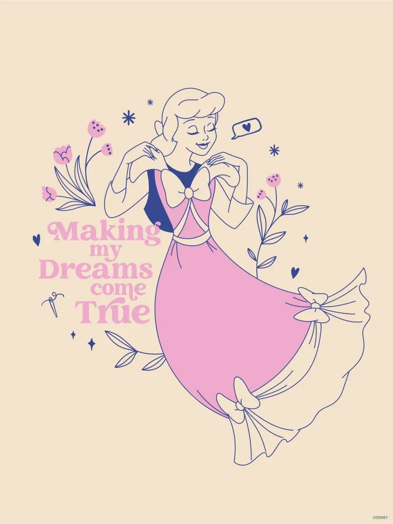 Cinderella: Träume wahr werden lassen! poster con telaio in alluminio da Disney Princess