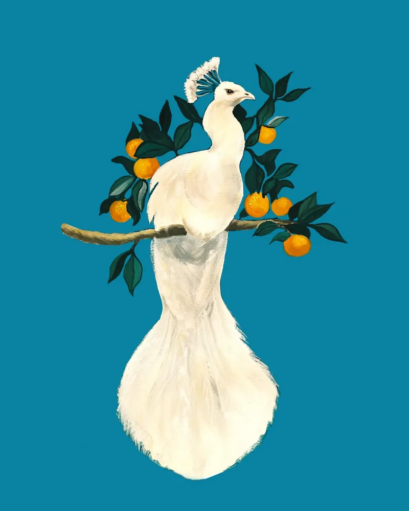 Pavone bianco su un ramo arancione carta hahnemühle da Corinne Korda Studio