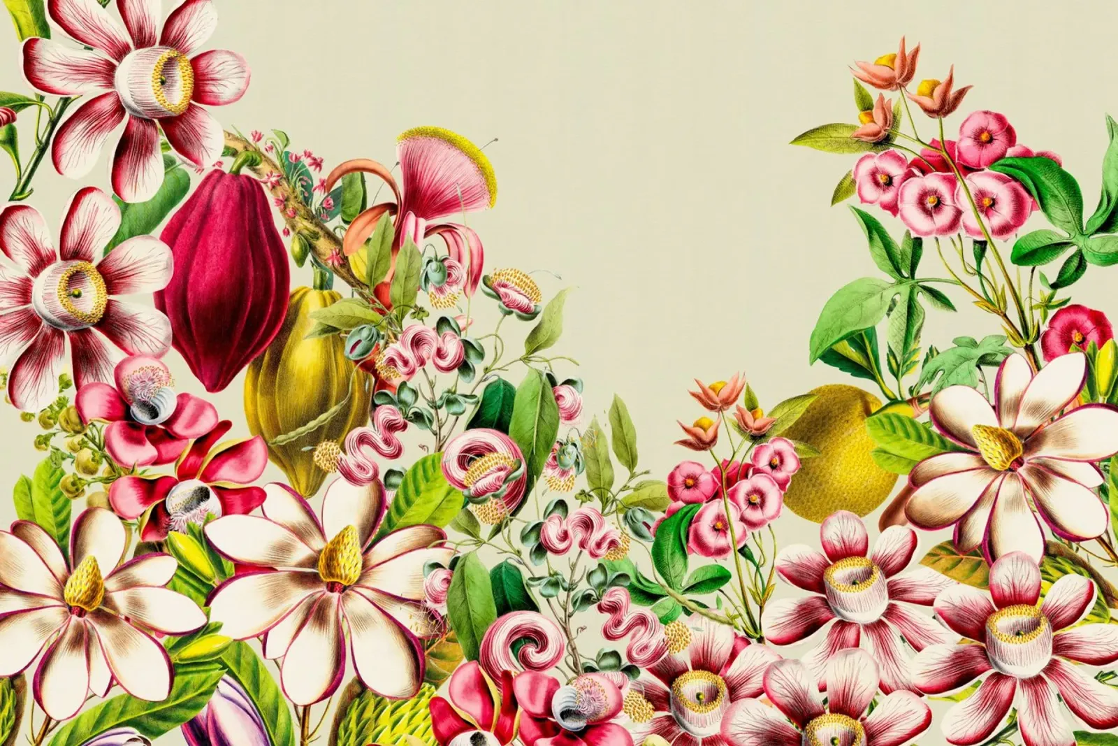 Giardino floreale botanico d'epoca poster con telaio in alluminio da Vintage World - Uta Naumann