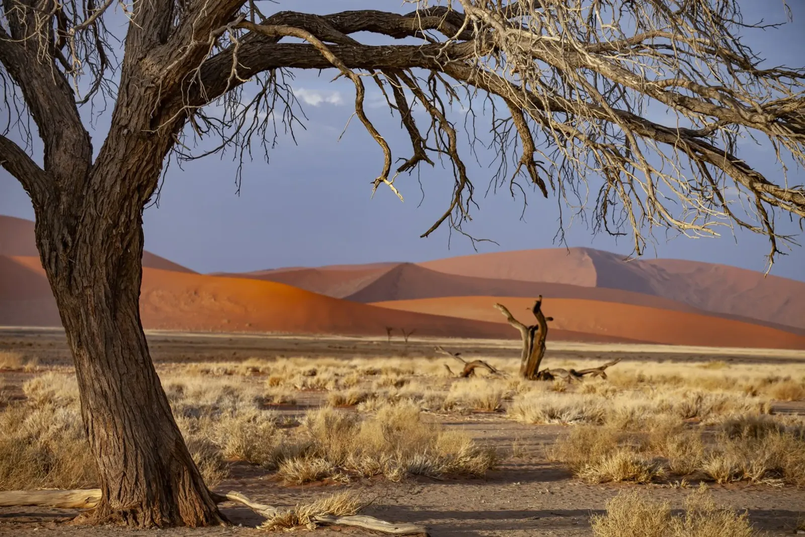 Sossusvlei Dünen Namibia pellicola backlit da Reisefotografie - Bilder aus aller Welt