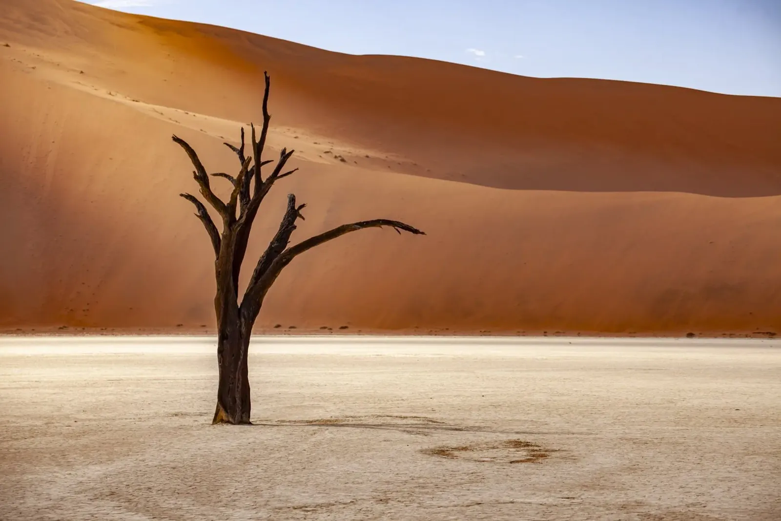Deadvlei Namibia pellicola backlit da Reisefotografie - Bilder aus aller Welt