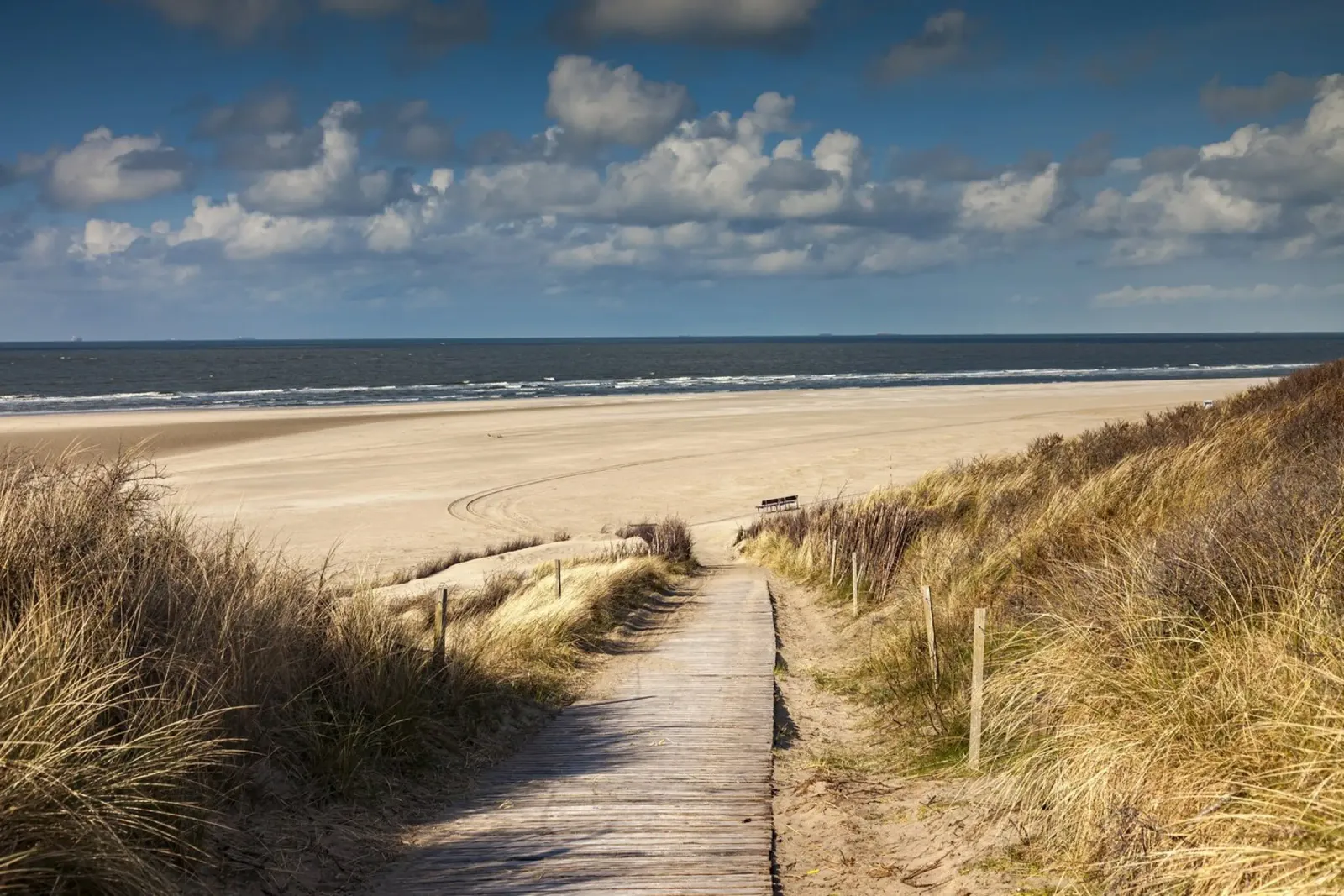 Strand auf Spiekeroog pellicola backlit da Reisefotografie - Bilder aus aller Welt