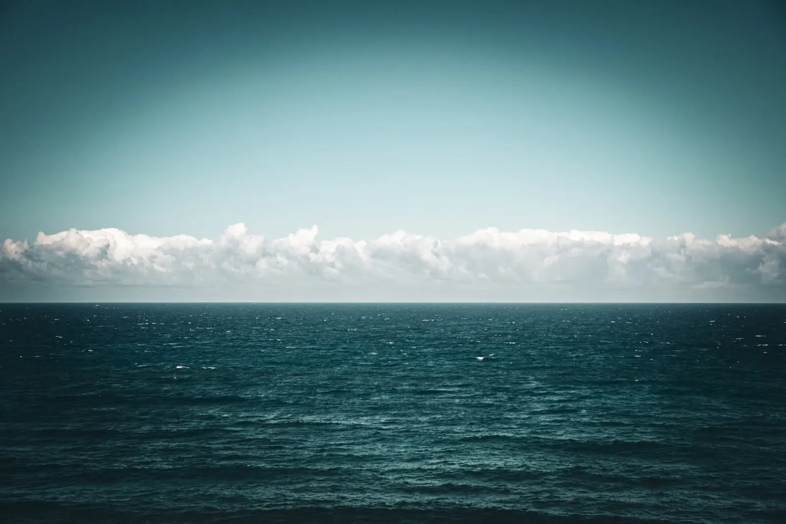 Horizont pellicola backlit da Flo Klein