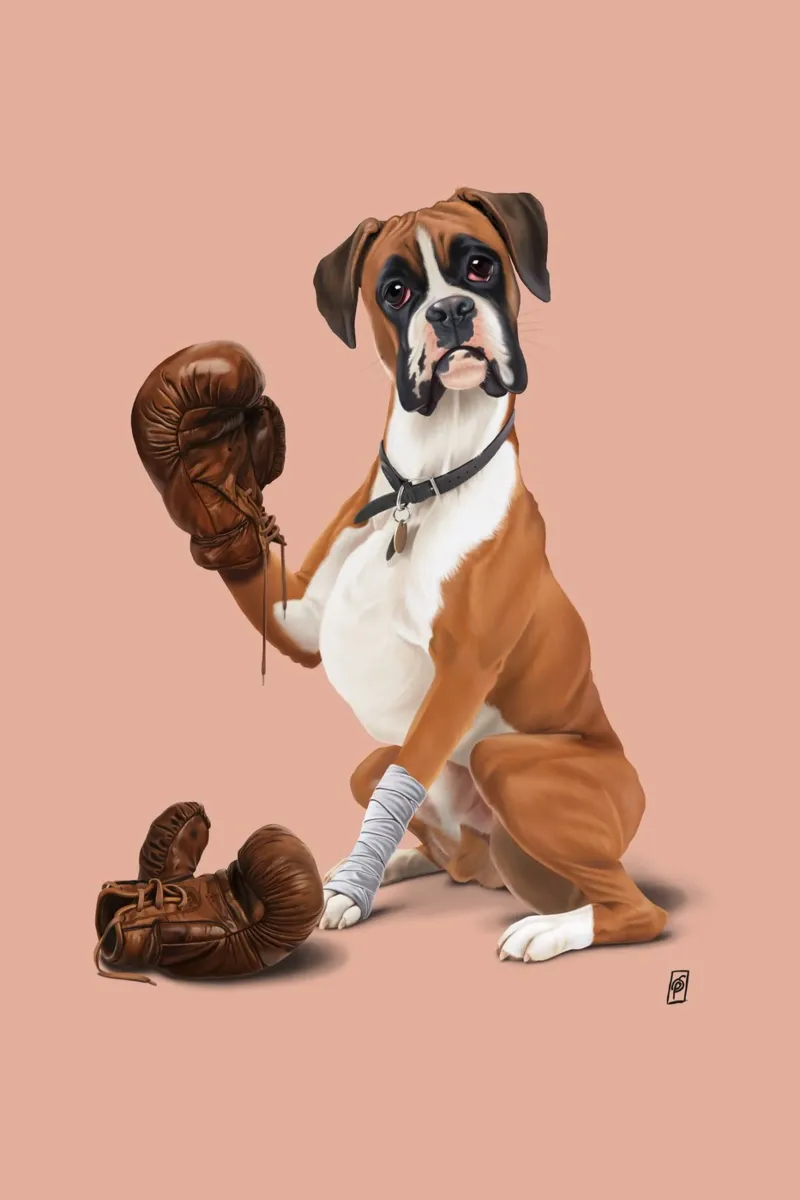 The Boxer (Colour) pellicola backlit da Rob Art | Illustration