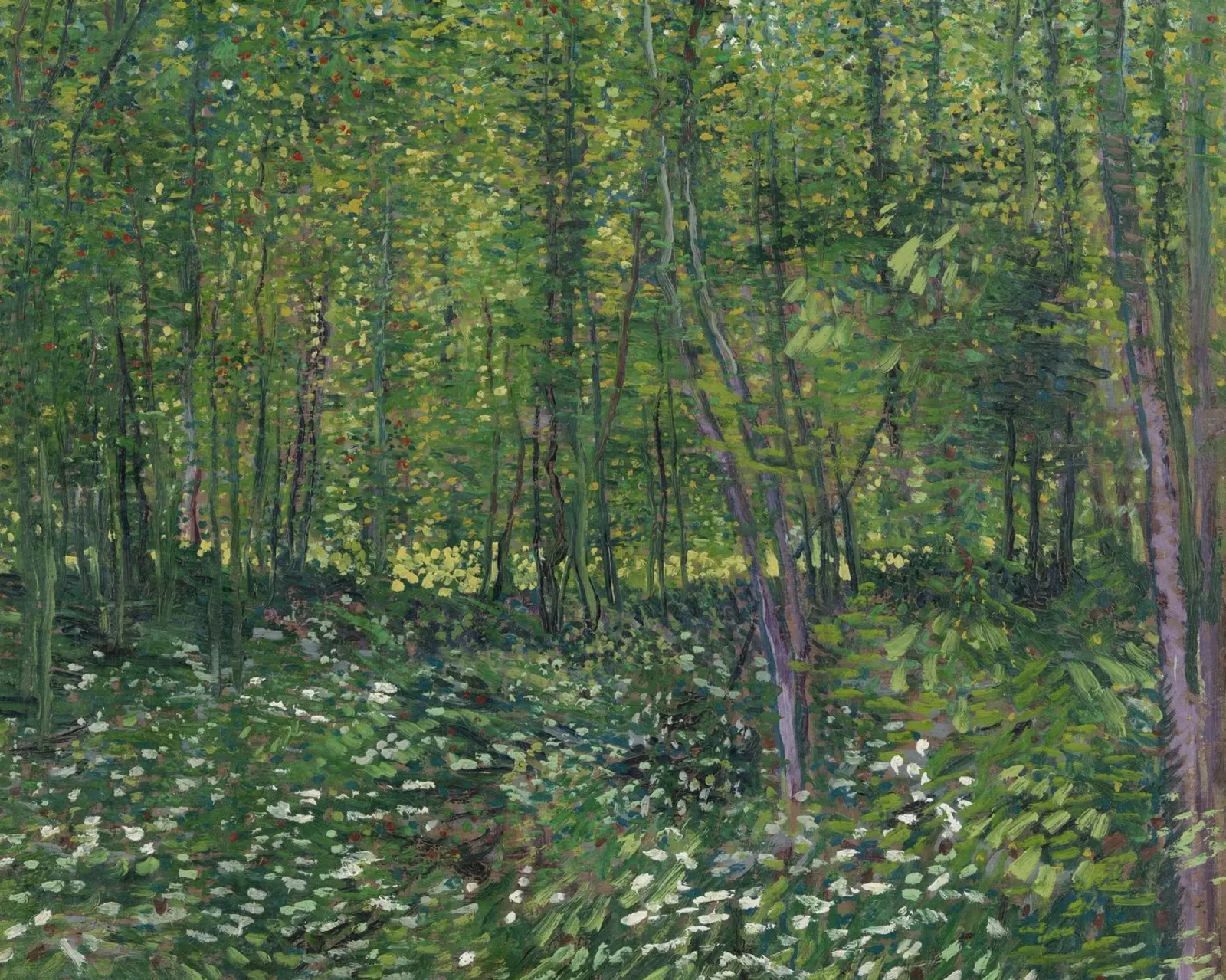 Vincent van Gogh - Alberi e sottobosco pellicola backlit da Timeless Artworks