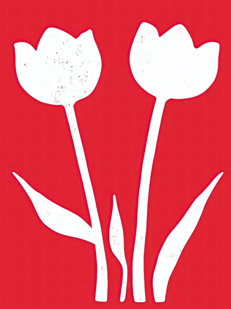 Tulipani bianchi su rosso | Design minimalista pellicola backlit da Autofocus