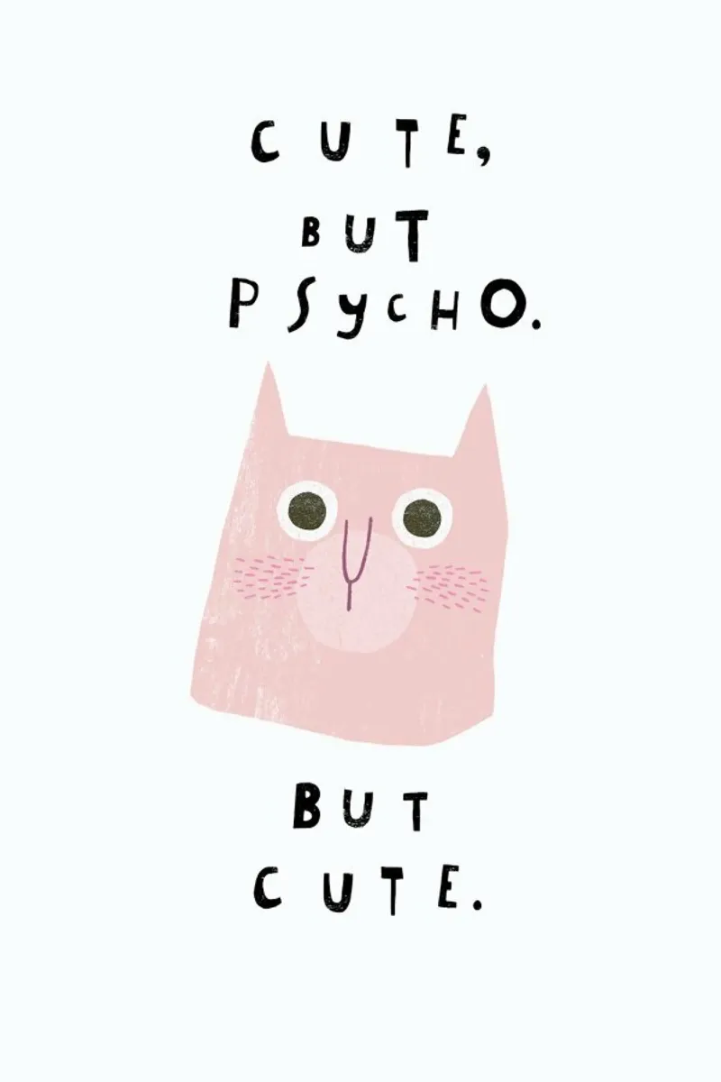 Catisfaction No. 13 plexiglass da typealive