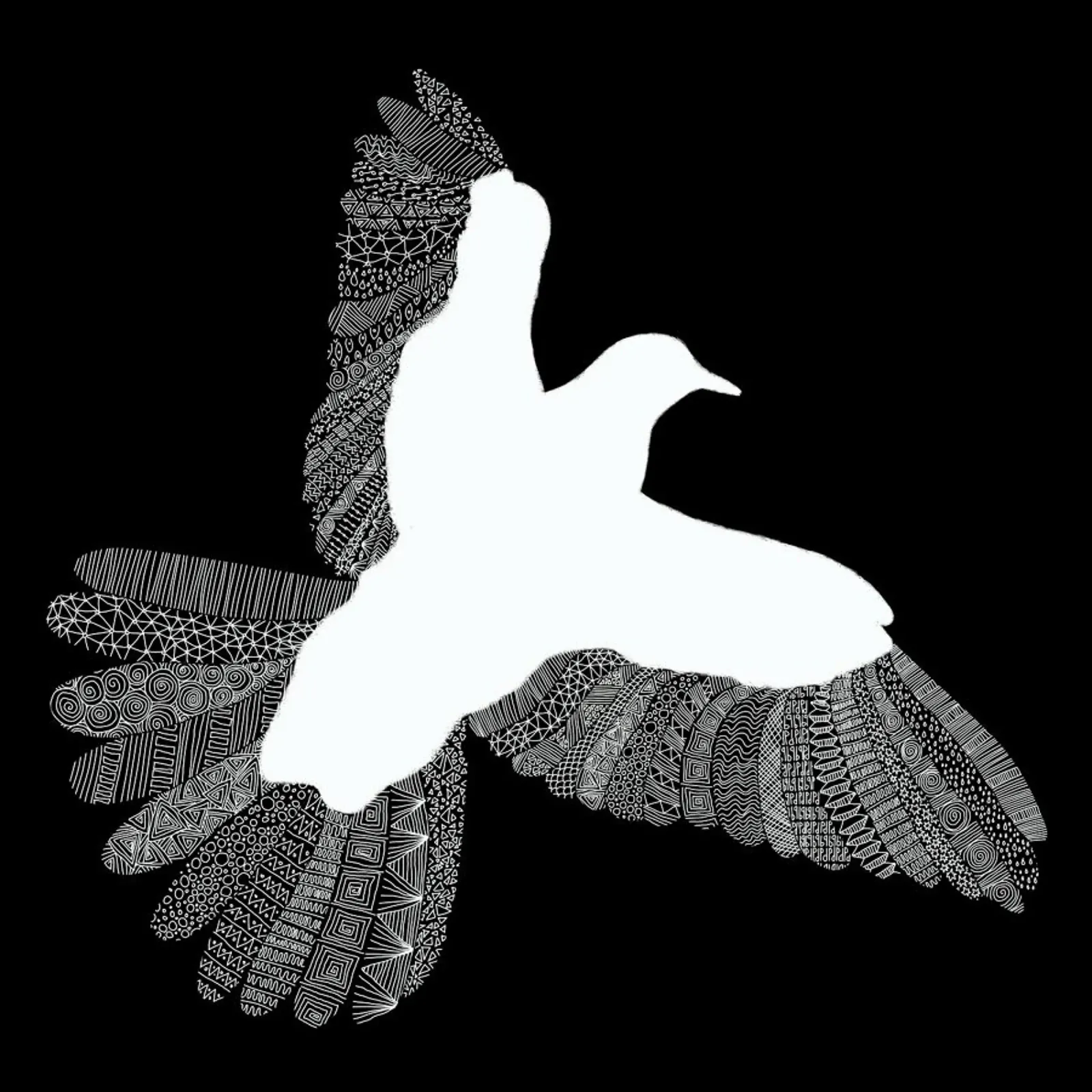 Bird 01 pellicola backlit da Florent Bodart