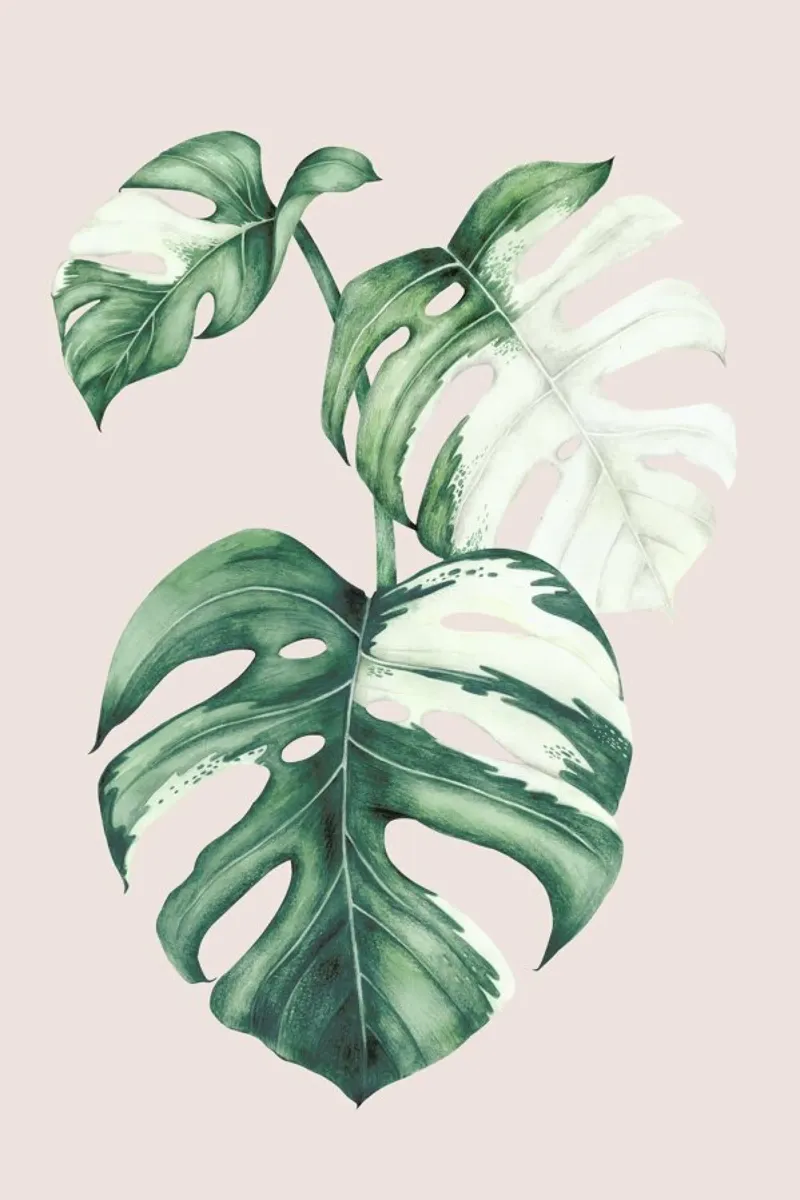 Tropical No. 4 poster con telaio in plastica da typealive