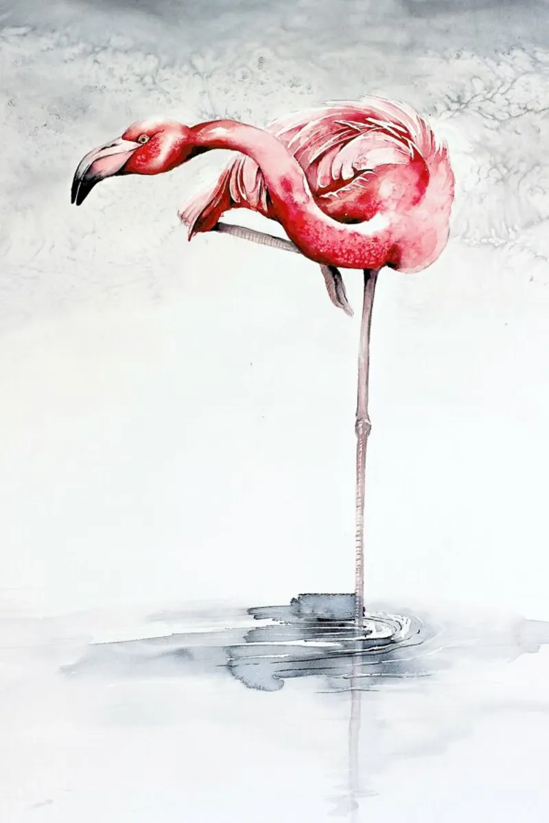 Pink Flamingo carta hahnemühle da Karolina Kijak