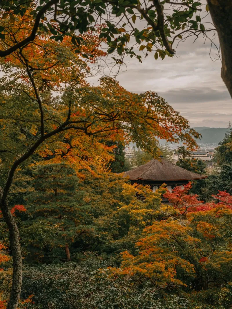 Tempio d'autunno a Kyoto, Giappone pellicola backlit da Marcel Bisig