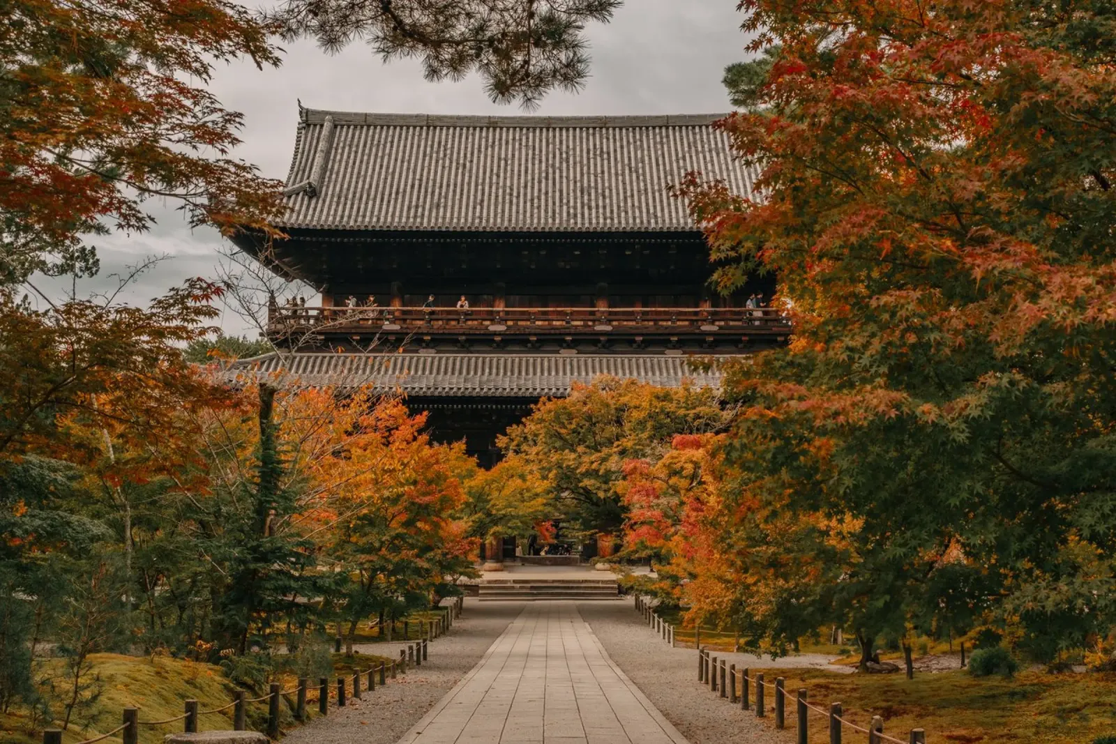 Tempio d'autunno a Kyoto, Giappone pellicola backlit da Marcel Bisig