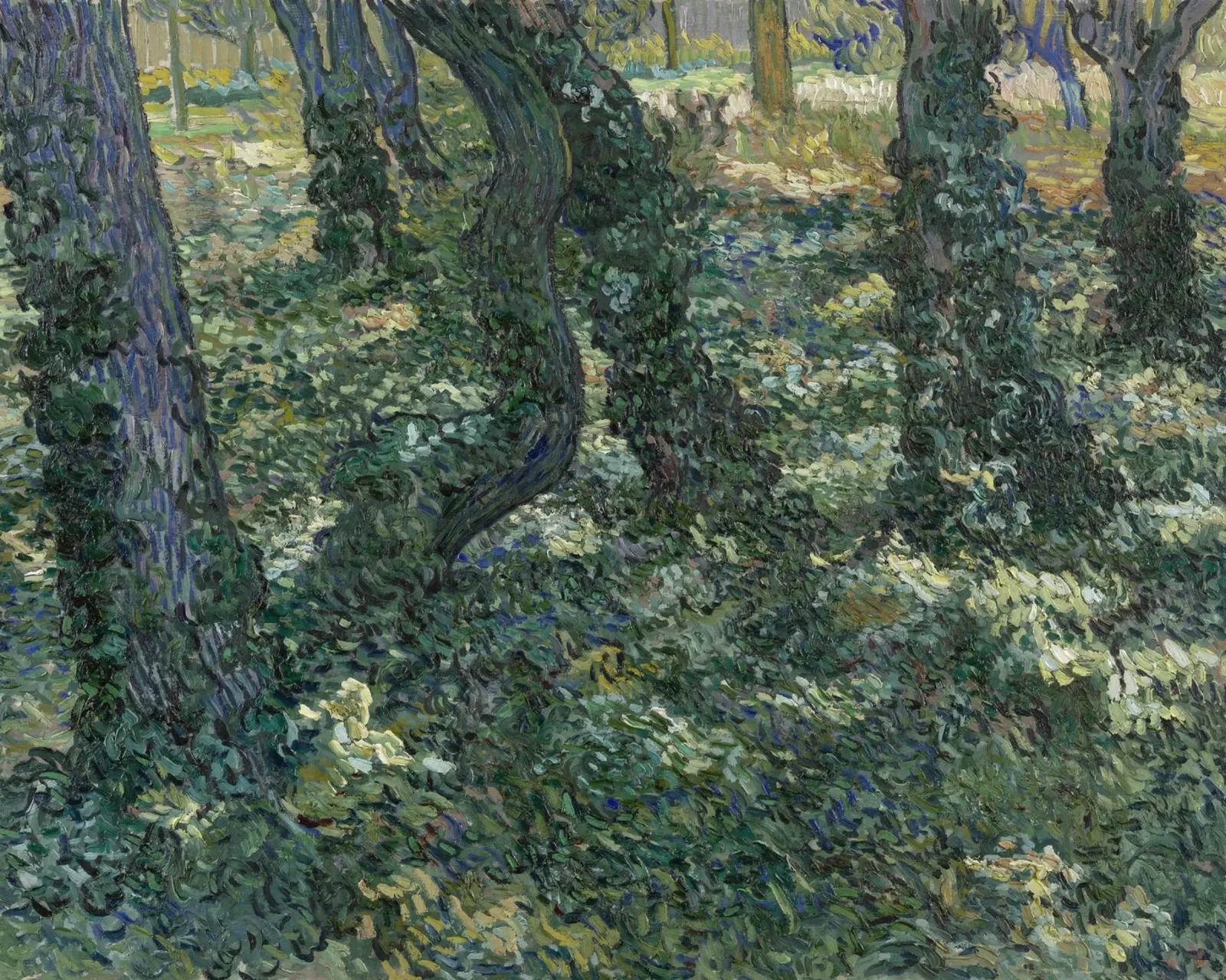Vincent van Gogh - Sottobosco pellicola backlit da Timeless Artworks
