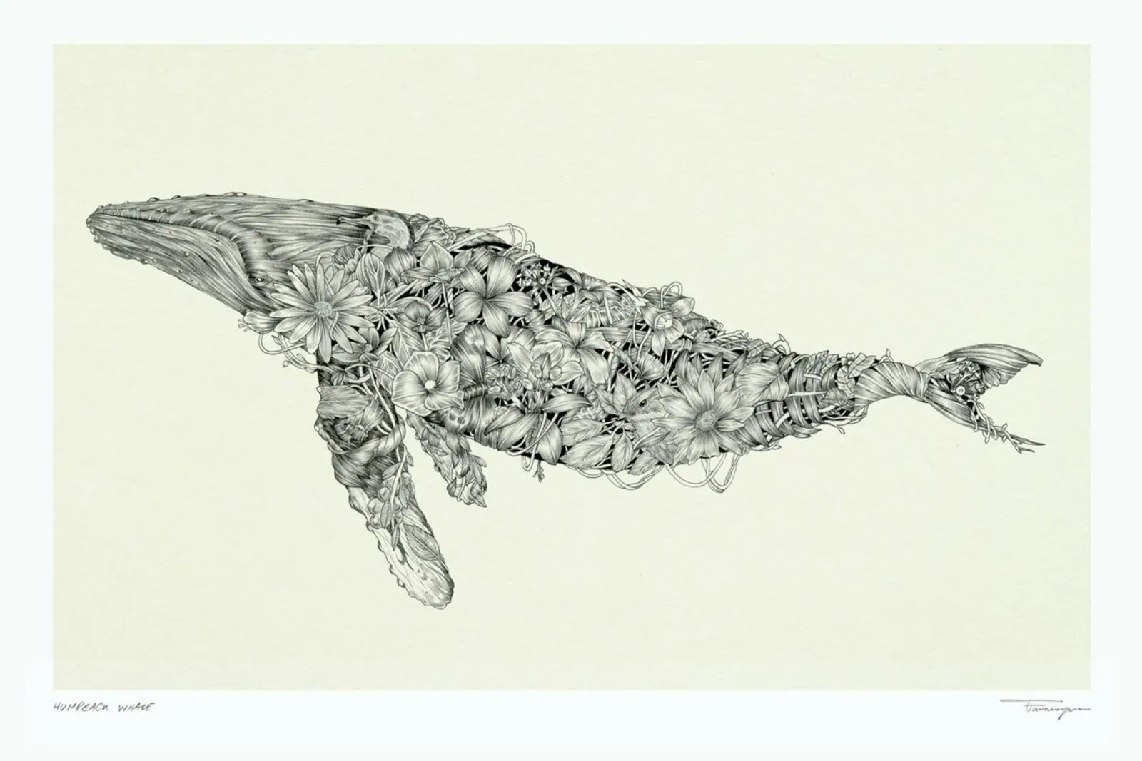 For the Paper Rain Project in Support of Project Jonah placa de forex de Faunesque