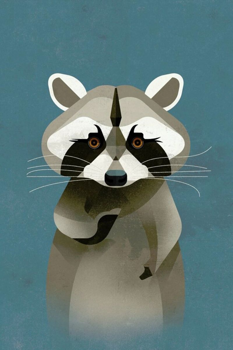 Racoon Poster von Dieter Braun