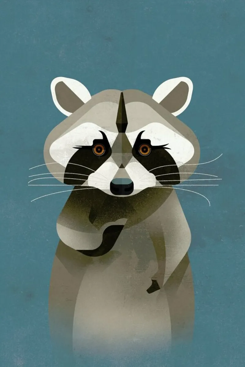Racoon backlit film by Dieter Braun