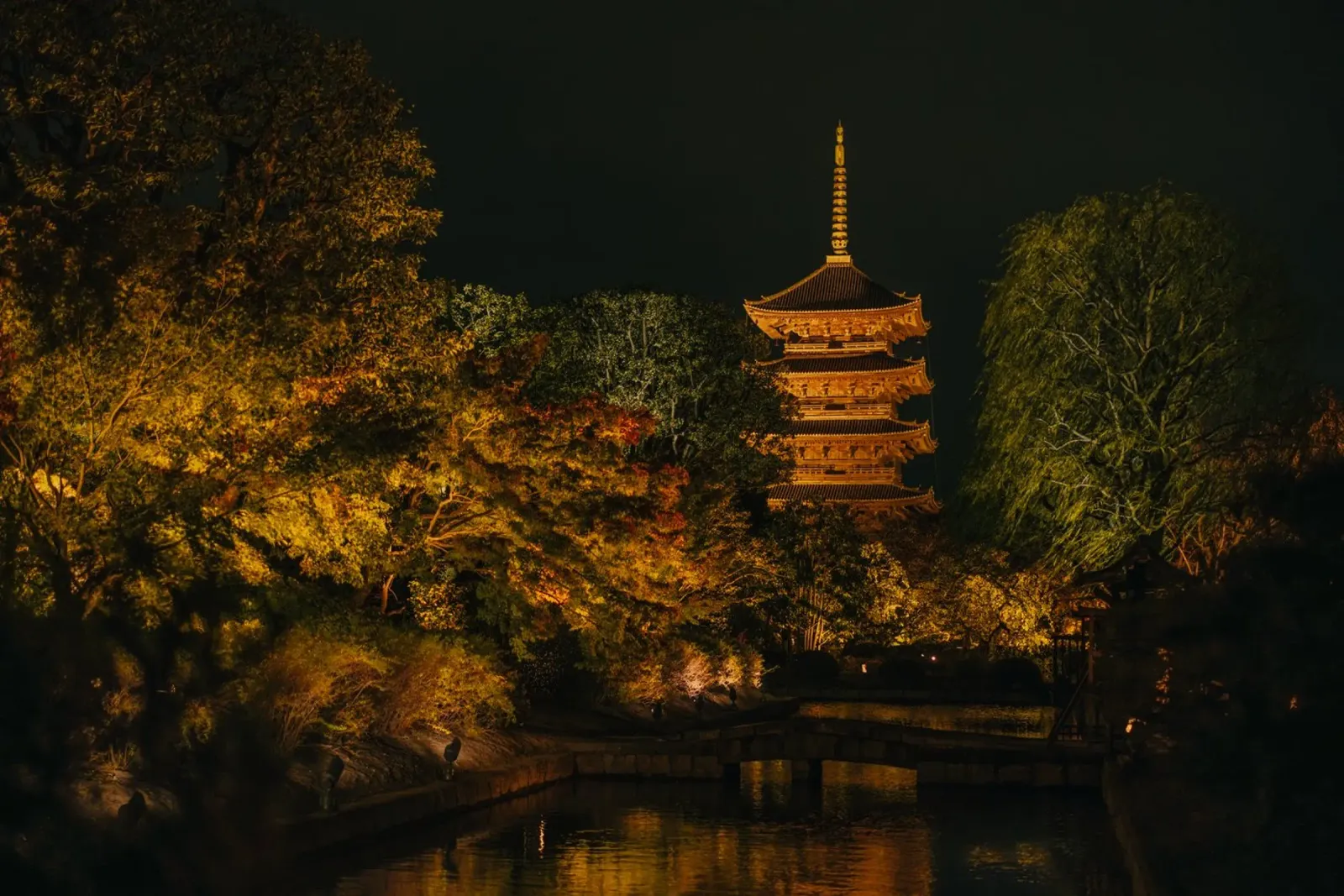 Pagoda giapponese di notte pellicola backlit da Marcel Bisig